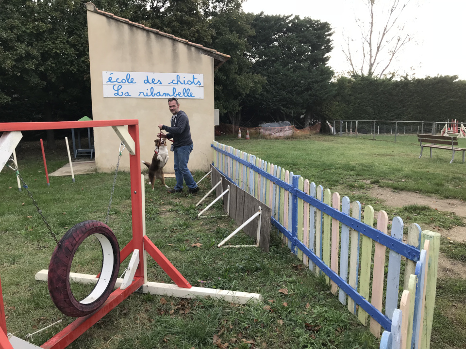 Ollie & moi-même à l’école des chiots : le début d’un vrai binôme !
