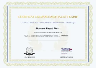 Certification Comportementaliste Canin Pascal Flork
