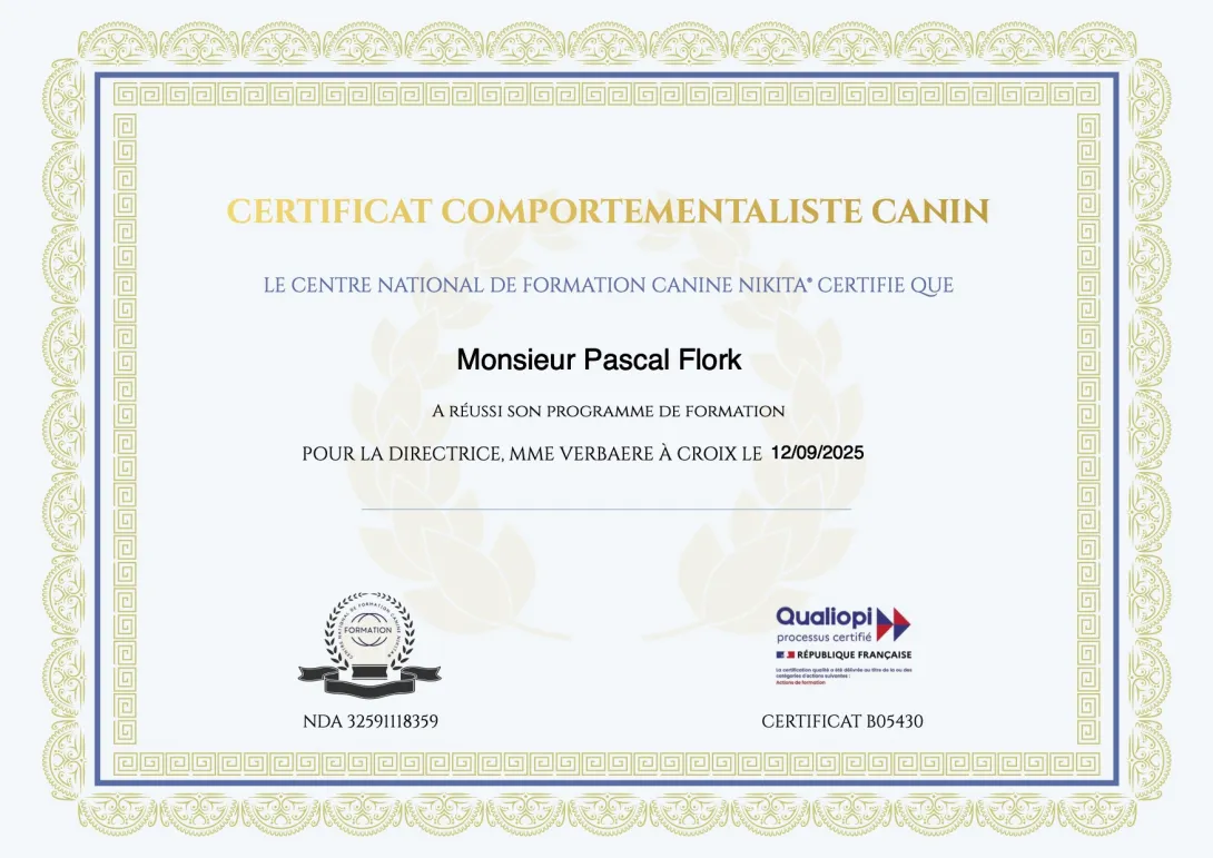 Certification Comportementaliste Canin Pascal Flork