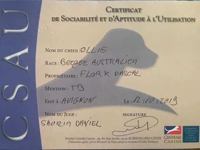 CSAU : Ollie en binôme avec Pascal Flork 2019 