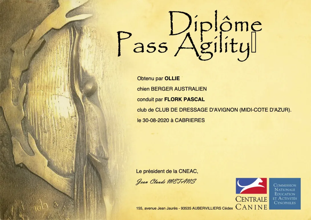 Pass Agility : En binôme Ollie & Pascal Flork