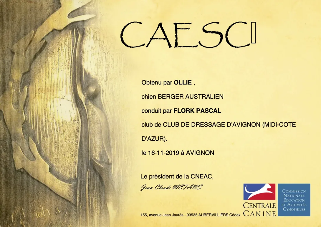 CAESC : Certificat de sociabilité et d’aptitude aux sports canins. Ollie & Pacal Flork 2020