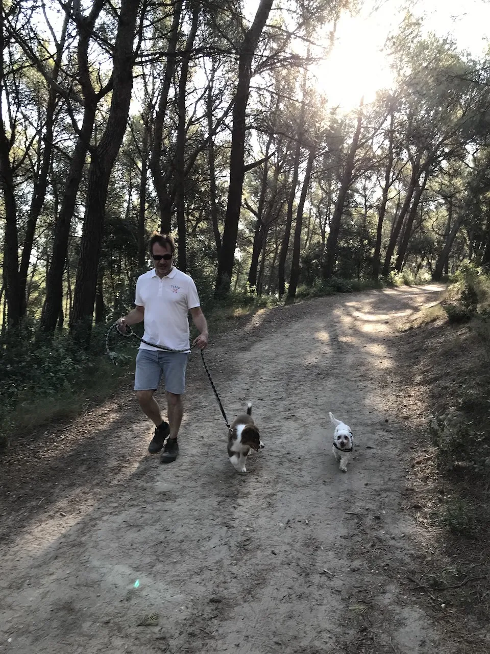 Ollie Chiot : pour de courtes balades contrôlées (en effort & temps)