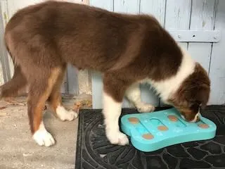 Les jeux de réflexion sont excellents pour dévelopepr les mécanismes d'apprentissages