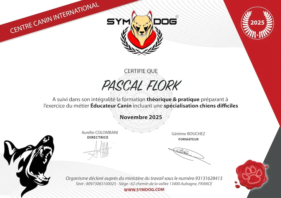 Pascal Flork certification Symdog 2025